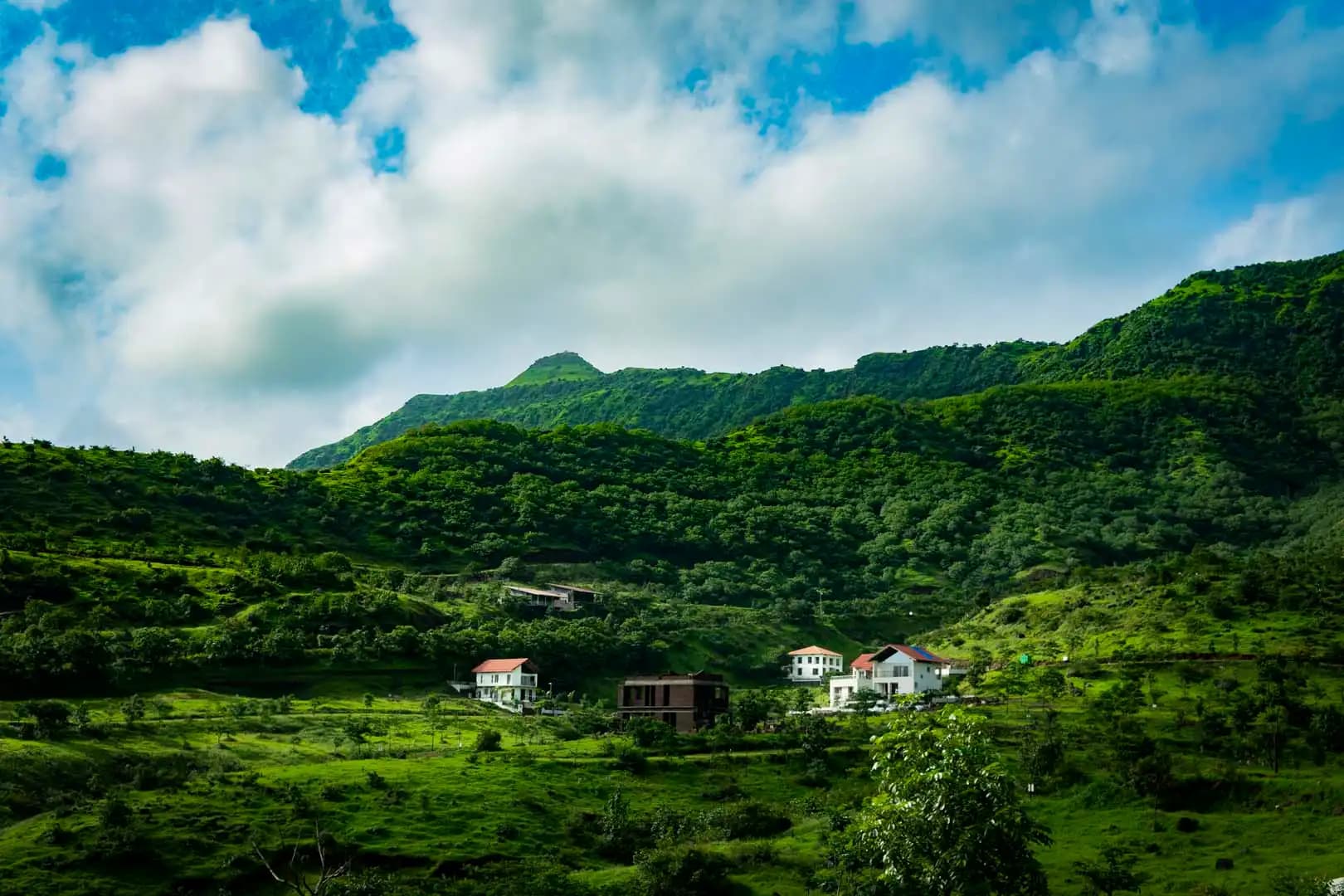 Lush natural surroundings at Royal Purandar